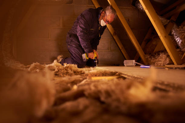Best Cellulose Insulation in Millers Creek, NC